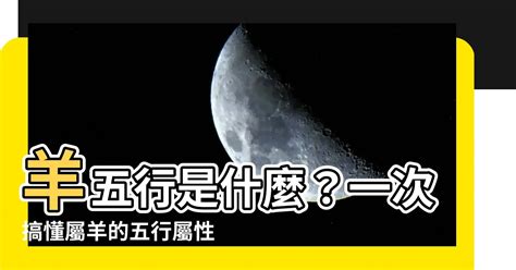 羊屬五行|【屬羊五行】屬羊五行是什麼？屬羊五行缺什麼？一次解惑！